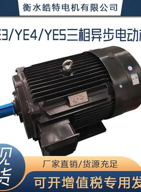 厂家供应YE4电机三相异步电机YE4系列电机YE3/YE4/YE5380V