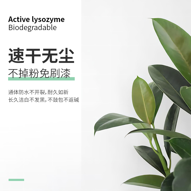 除霉防水补墙膏白色墙面修补膏墙皮修复内墙腻子粉石膏补墙漆家用