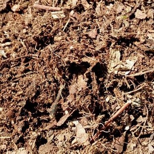 高黎贡山腐殖土腐叶土君子兰花土多肉花卉土营养土1000克18元包邮