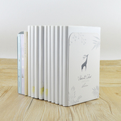 4片装 桌面书立架书挡板书夹书靠书立简约立书架简易桌上学生创意