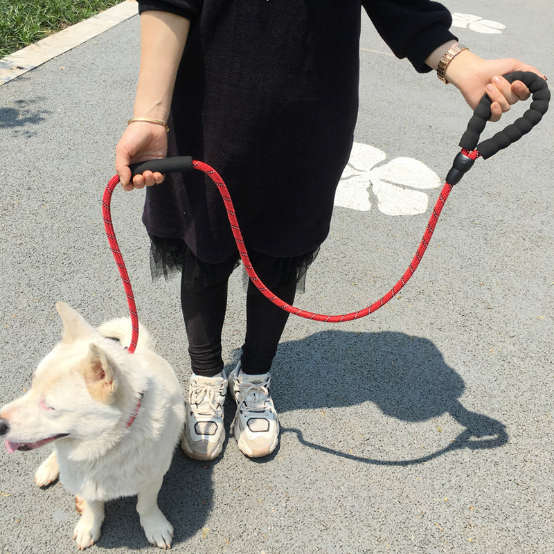 狗狗P字牵引绳中大型犬防咬断可调节狗链 宠物用锦纶绳