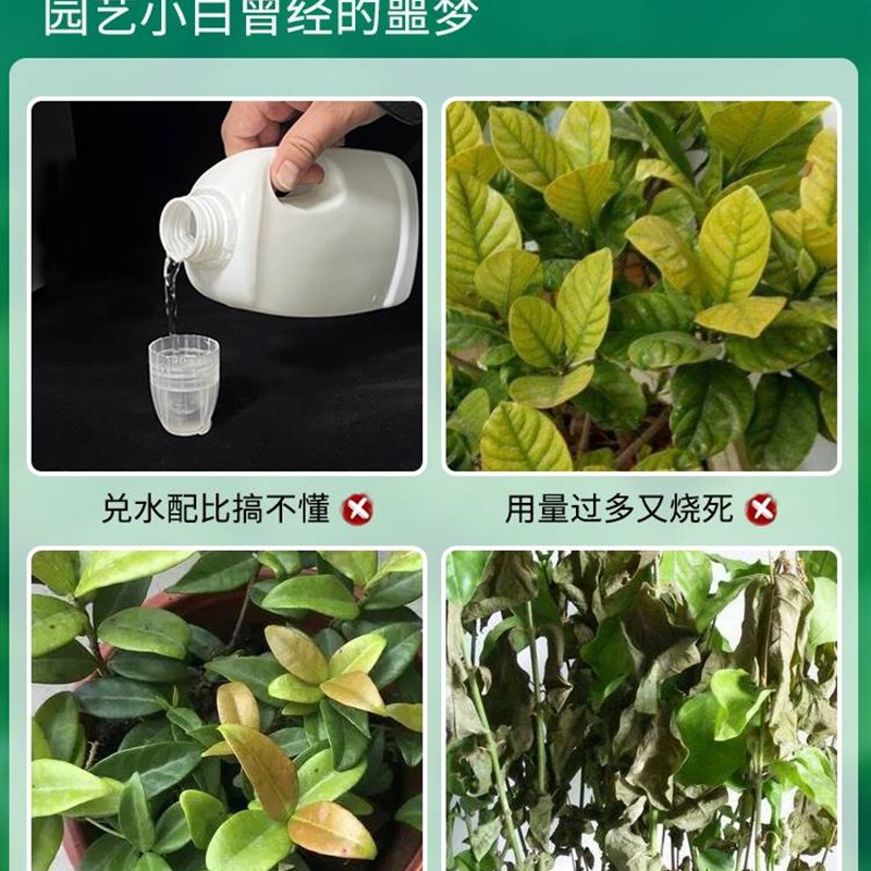 免稀释茉莉花专用营养液家用促开花卉盆栽喜酸植物液体肥花肥料