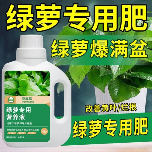 绿萝营养液肥料专用肥室内盆栽绿箩水培营养液水养花卉植物通用型