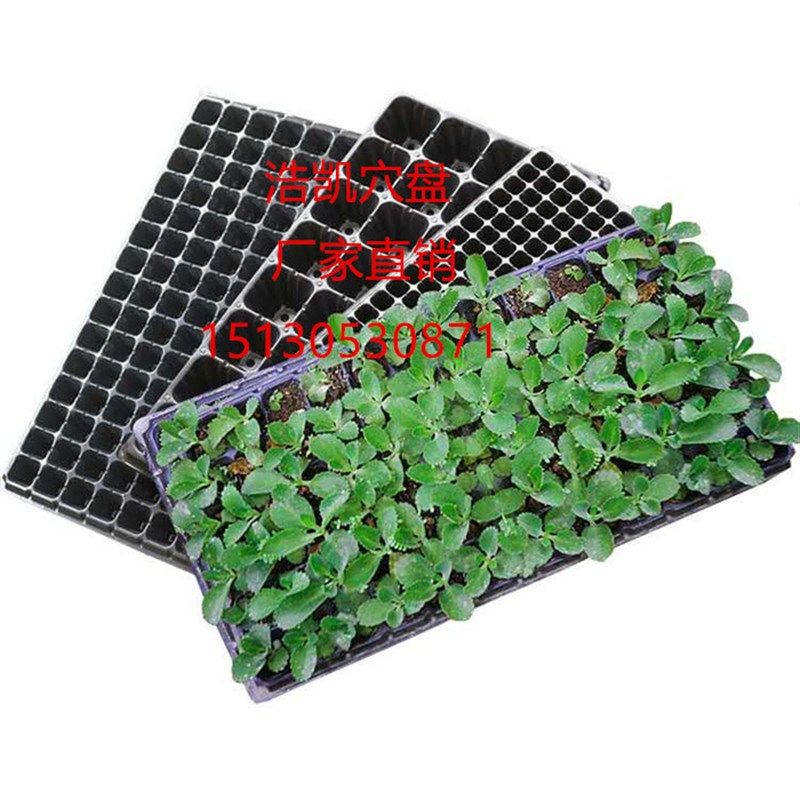 黑色育苗穴盘 蔬菜苗盘 加厚   林木穴盘育苗盘  一次性育苗盘