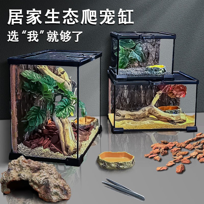 BG爬宠饲养箱雨林造景生态缸守宫蜥蜴陆龟角蛙蜘蛛爬虫养蛇玻璃缸