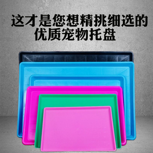 狗笼子托盘接粪盆尿盘塑料加厚宠物鸟鸡笼鸽子猫笼底盘兔笼屎便盆