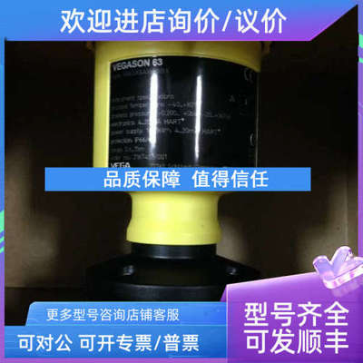 议价VEGA声波液位计SN63.XXACHKMXX