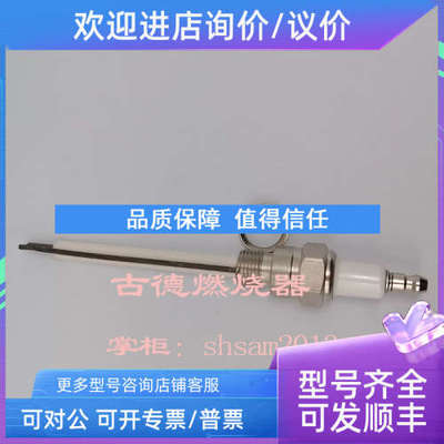 议价Rapidflame 花塞R1 RP-SE-RFG075 3010104300-020 点针RT-14