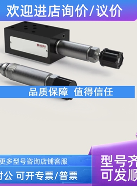 议价BIERI 比利 泄压阀DB500/700/1000AKP103-01-500-V-A00