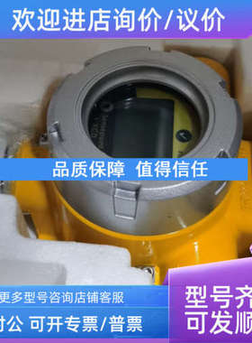 议价5200260-02A 3001B2337  Salwico GD ATEX) 气体探测器