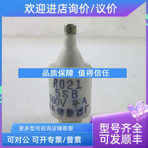 议价R021 500V 4A 陶瓷保险丝熔断器熔芯  RO21  件