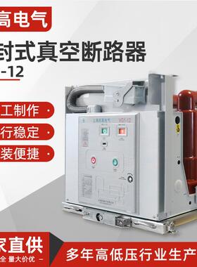 固封式真空断路器VG1-12户内高压真空断路器固定式侧装高压断路器
