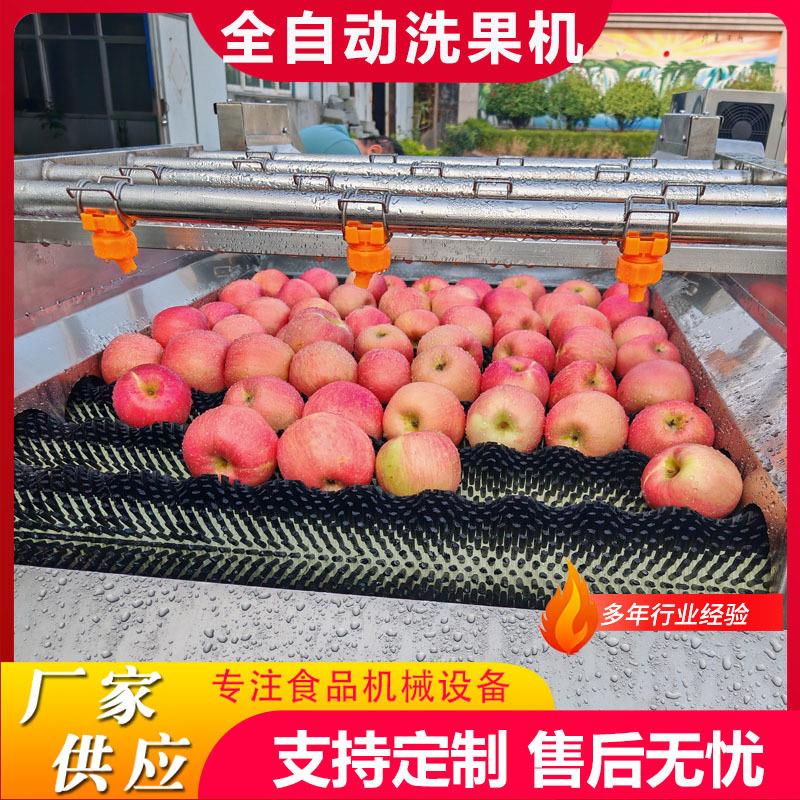 桃子清洗风干一体机设备苹果平行毛辊清洗机水果毛刷清洗机