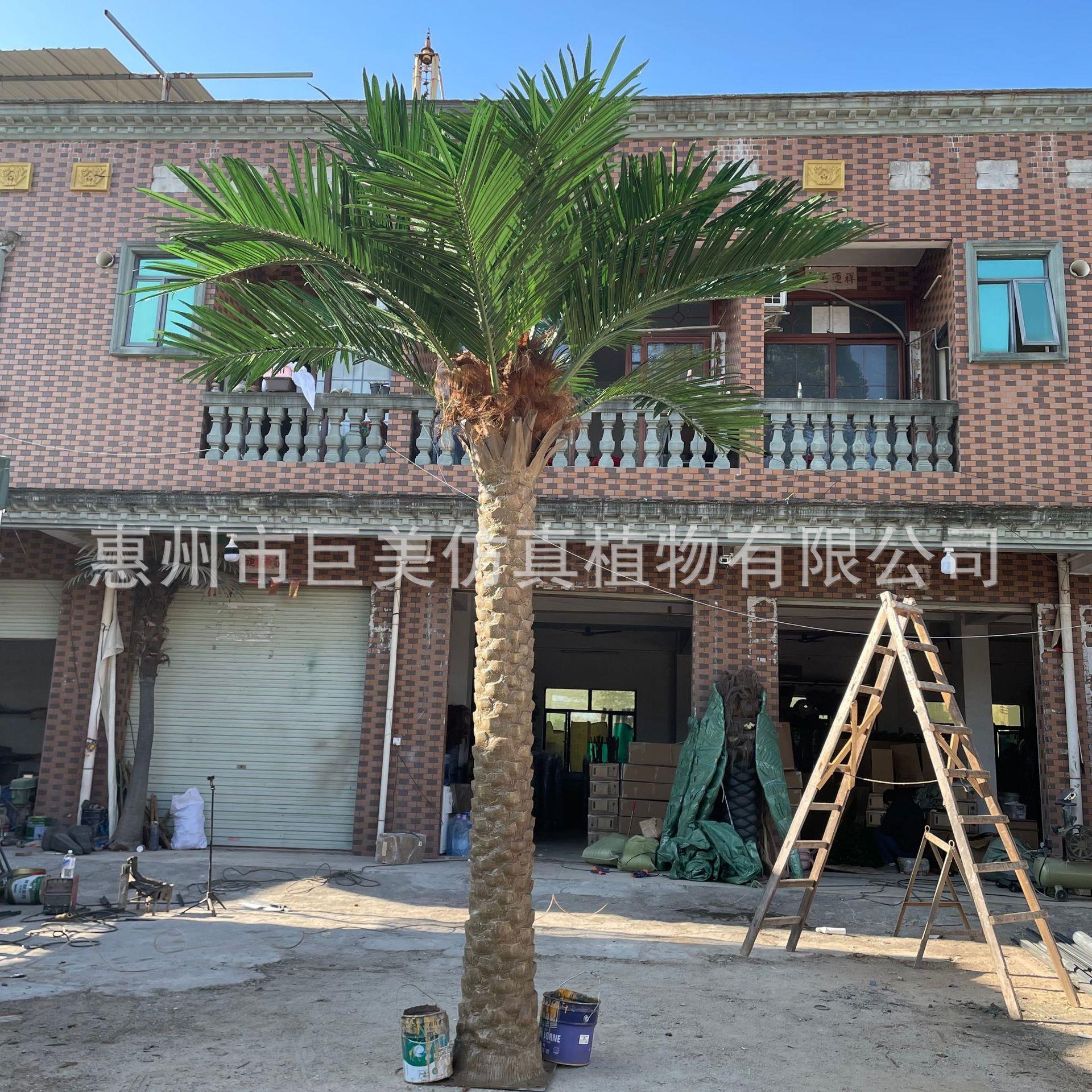 大型仿真海枣树棕榈树 室内外景观造景椰子树 工程装饰假树 - 实物图
