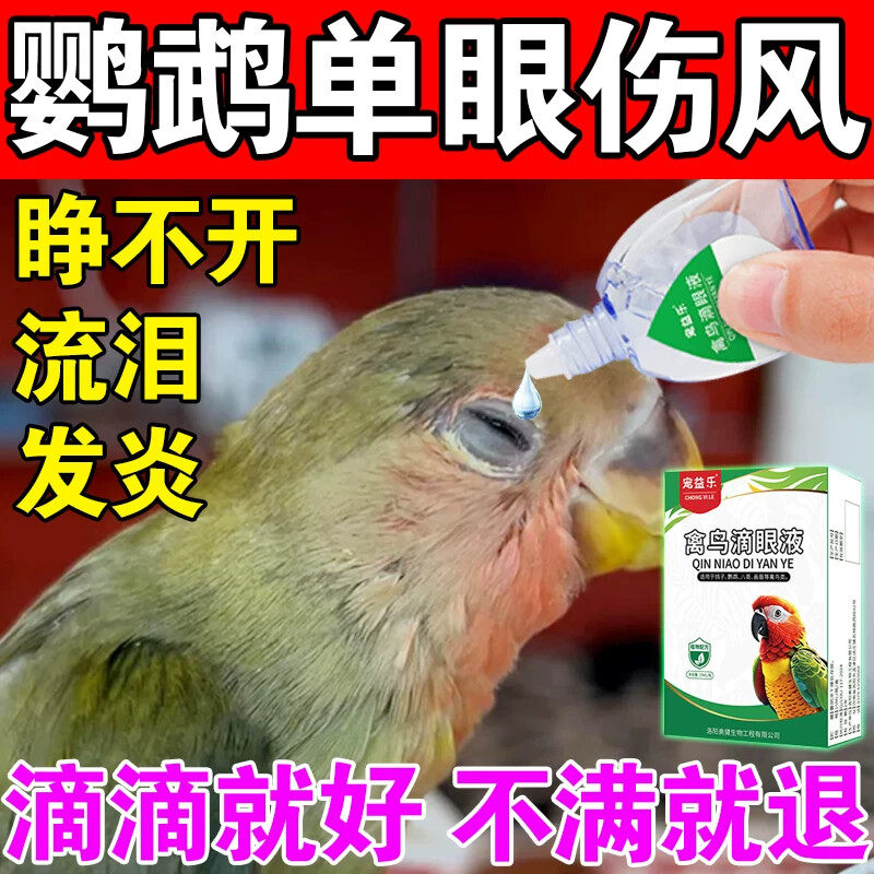 鹦鹉眼病单眼伤风眼流泪肿胀闭眼一滴灵玄风虎皮信鸽常见病眼药水