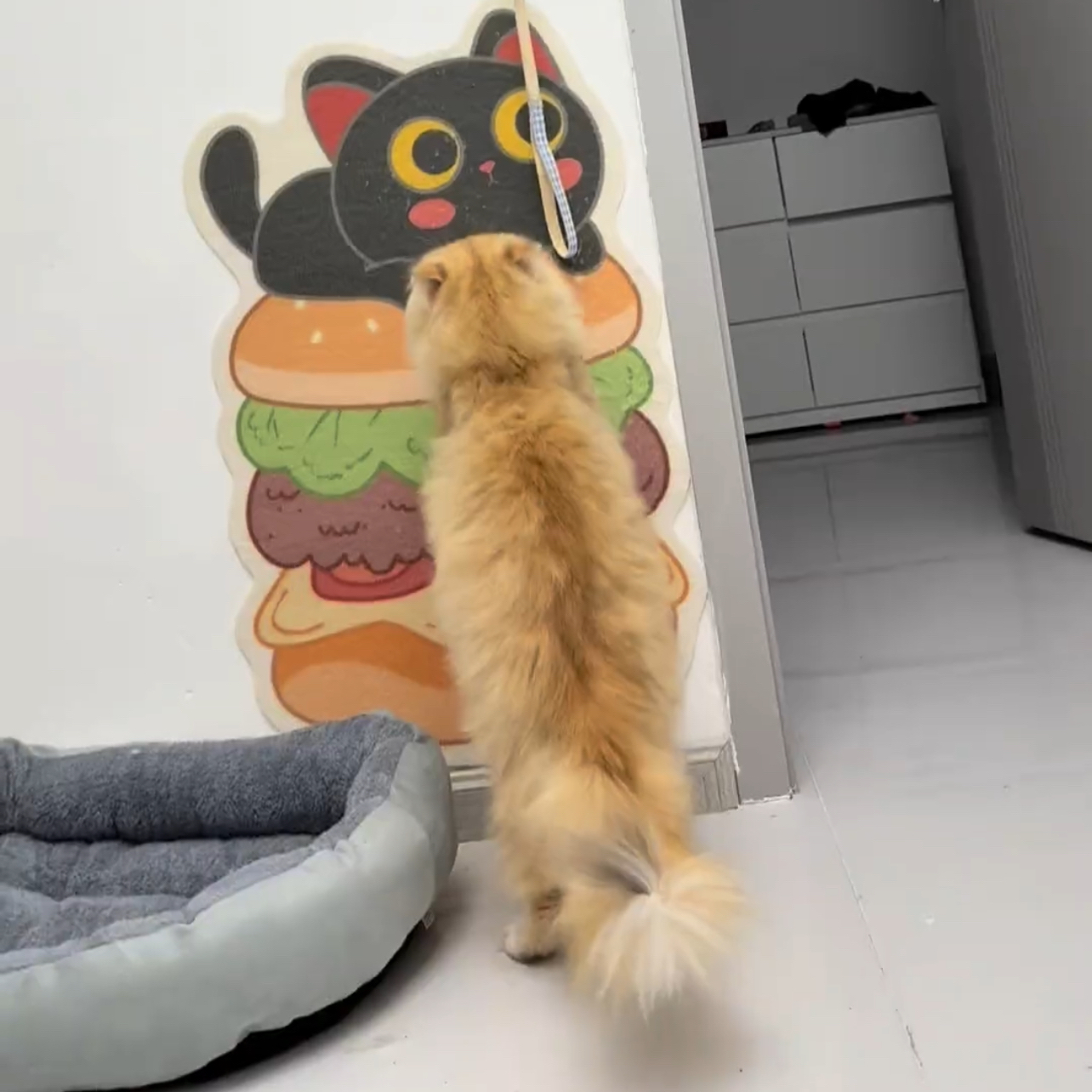 家居可爱猫抓板抓贴自粘随处贴一撕即贴家具保护猫咪乃玩具美观