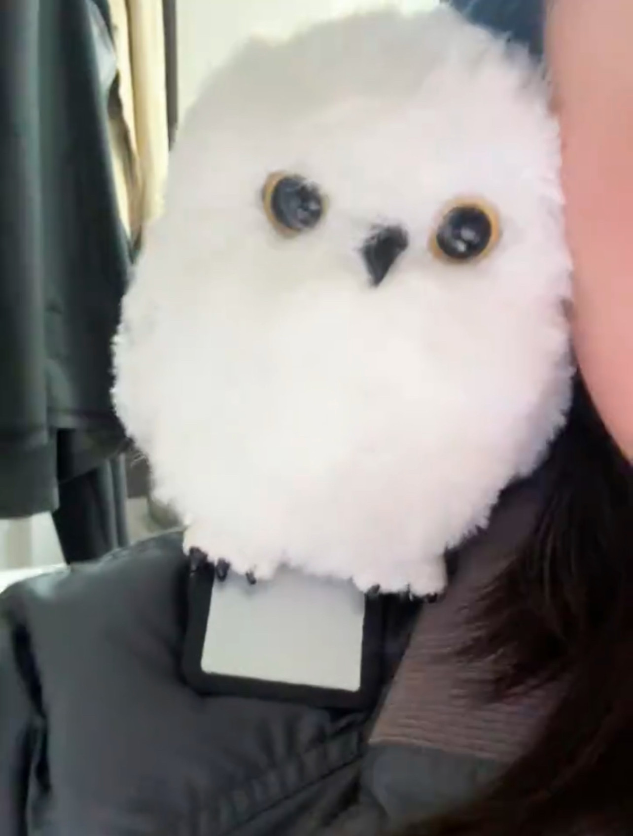 新款猫头鹰海德薇电影同款可爱公仔玩偶儿童音乐毛绒玩具可互动