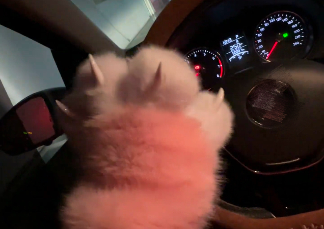 粉色毛茸茸新款可爱兽装爪子手套猫娘手套猫爪可爱吱吱叫