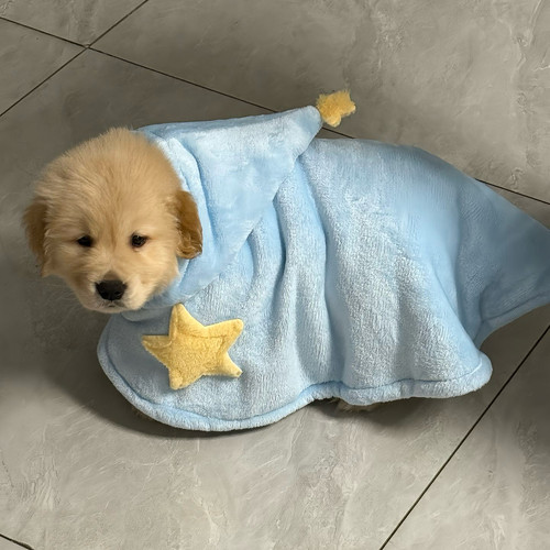 可爱蓝色星星毛毯睡袍披风猫狗通用冬季保暖双面绒宠物斗篷睡觉
