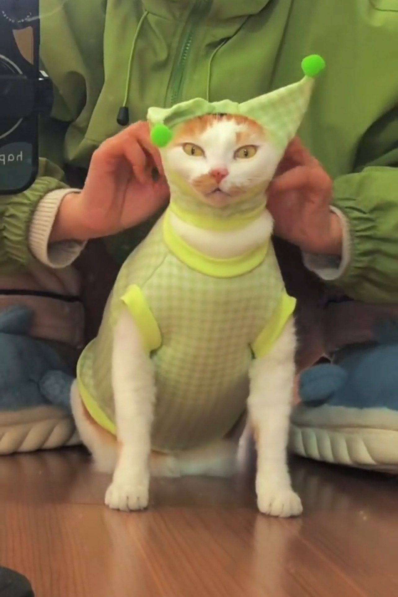 格子绿色丑萌衣服宠物猫咪通用冬季新款毛毛两脚棉衣超暖和亲肤