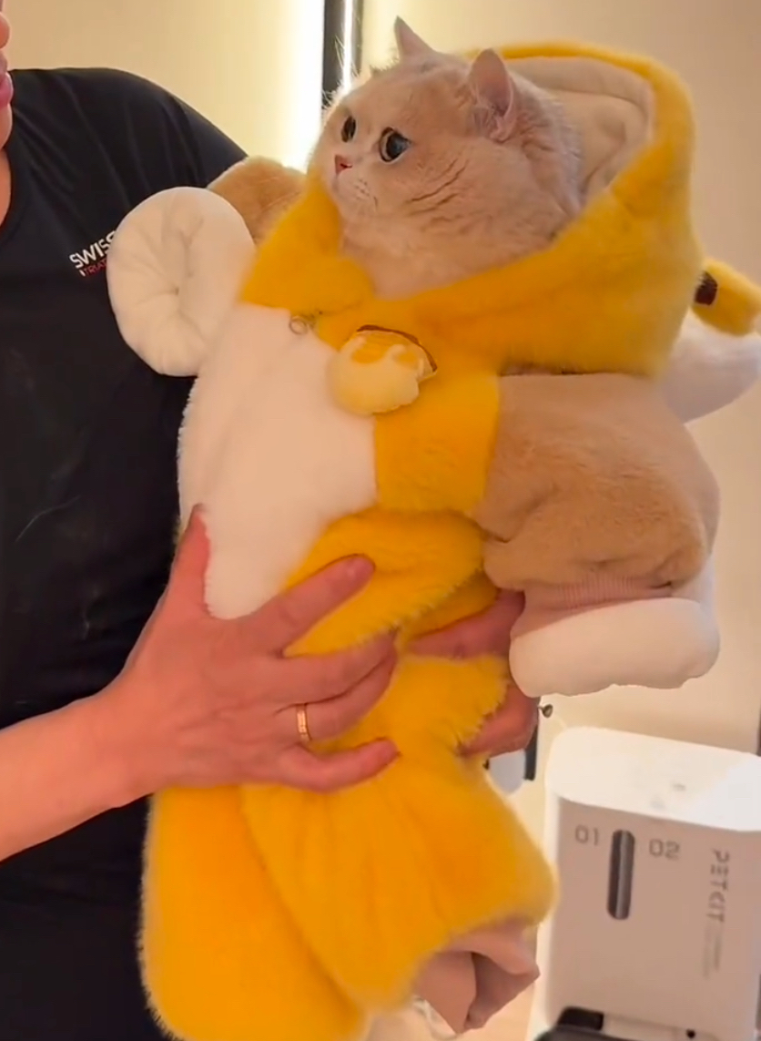 猫咪衣服秋冬装保暖布偶猫幼猫可爱小蜜蜂连帽毛绒公仔玩偶外套