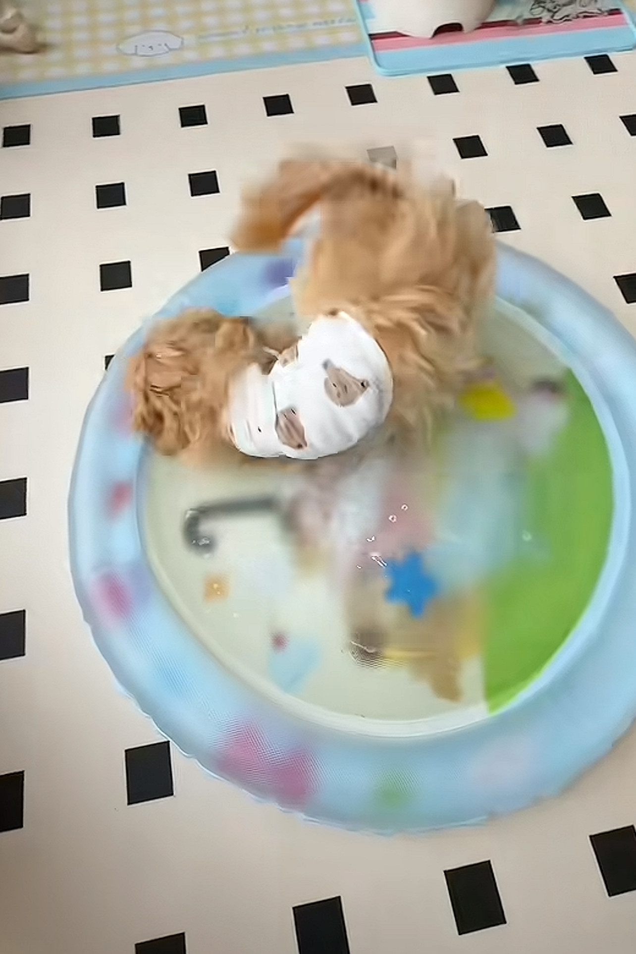卡通彩色趣味充气水垫夏天狗狗降温猫咪水床防抓耐磨夏季宠物冰垫