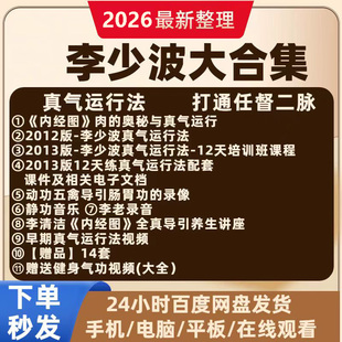 李少波真气运行法针灸推拉实践气功练功指导视频教学堂电子版 U盘