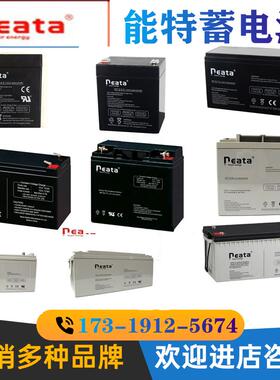 neata能特蓄电池NT12V7AH9AH12AH14AH17A24A28A38A40A65A100A消防