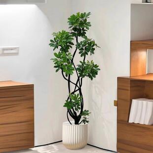 鸭脚木客厅大盆栽造型物植落地式好养真花高级感新家绿植室内大型