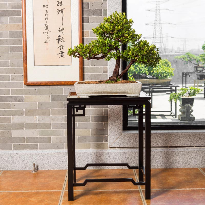 花架子客厅落地式花几室内简约阳台绿植架铝合金新中式订制盆景架