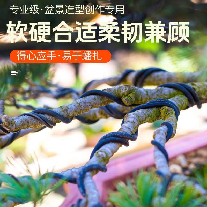 盆景造型专用工具铝线盘扎铝丝软铁丝盆栽三角梅树枝定型固定线丝,鲜花速递/花卉仿真/绿植园艺,其它园艺用品,淘宝优惠券,粉丝福利购,淘宝优惠卷