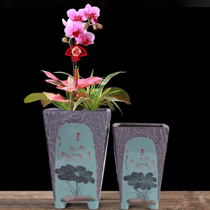 兰花花盆2021新款家用客厅蝴蝶兰专用盆创意多肉老桩大口径高深盆