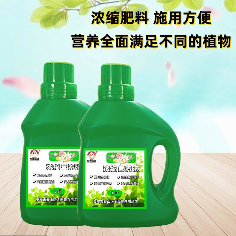 棕榈树专用浓缩营养液多元素复合庭院盆栽扇子树大树苗绿植花肥料