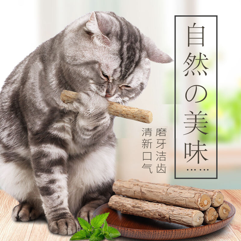 木天蓼猫咪磨牙棒洁齿猫薄荷幼成猫玩具自嗨神器廖天木啃咬铃铛球
