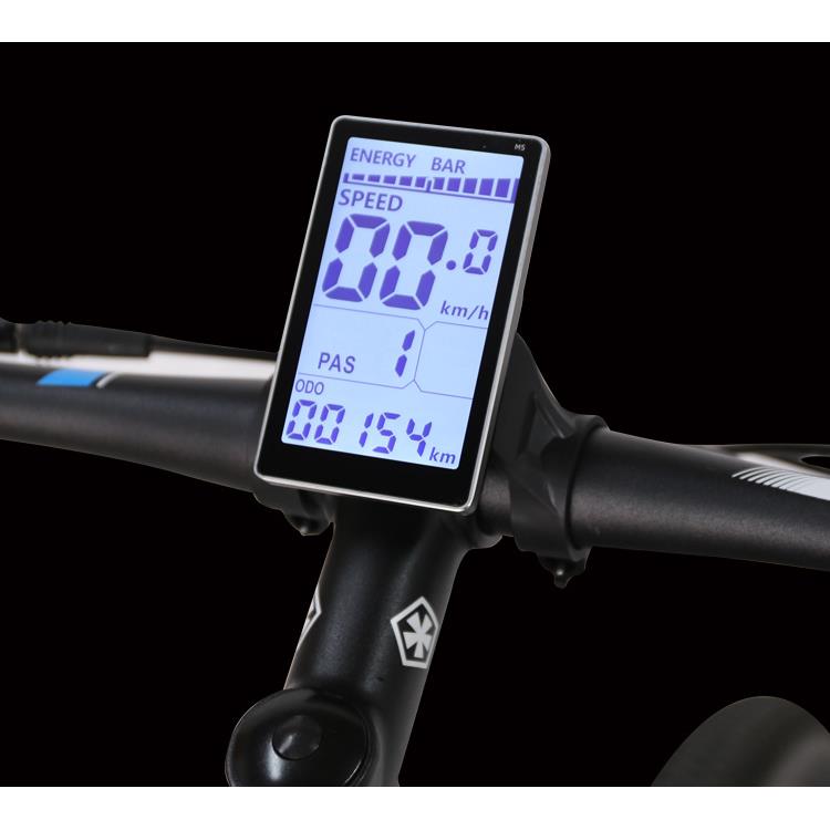 电动自行车锂电自行车LCD智能液晶显示器M5仪表36V48V60V