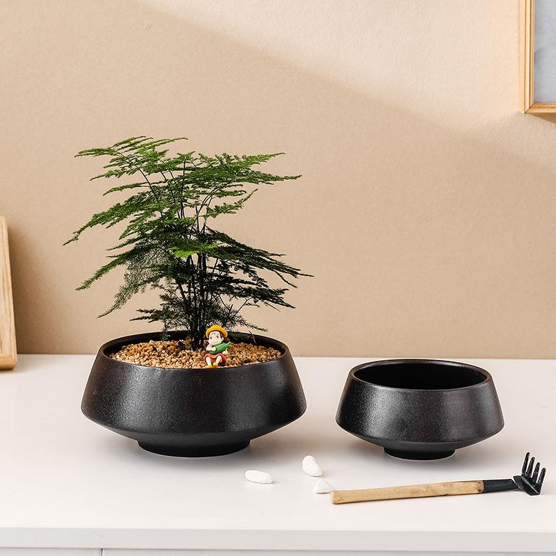 苔藓陶瓷花盆微型景观蕨类芦笋多肉短光哑光黑色可以水培容器简单