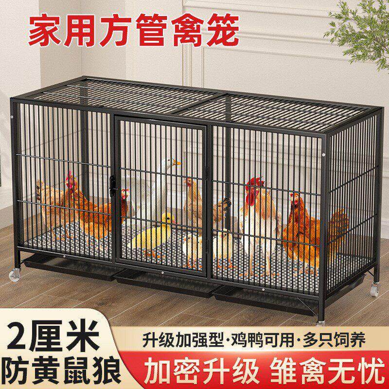 鸡笼子家用室外大号密雏鸡笼防黄鼠狼养殖笼鸡舍铁丝网方管笼宠物