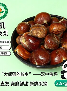 佛坪有机鲜板栗5斤 秦岭野生采摘生板栗脆甜糖炒栗子八宝粥料炖鸡