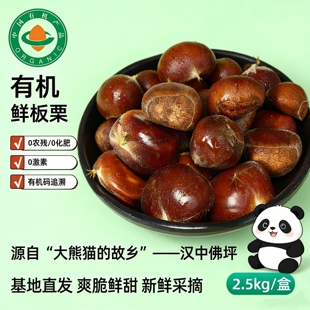 佛坪有机鲜板栗5斤 秦岭野生采摘生板栗脆甜糖炒栗子八宝粥料炖鸡