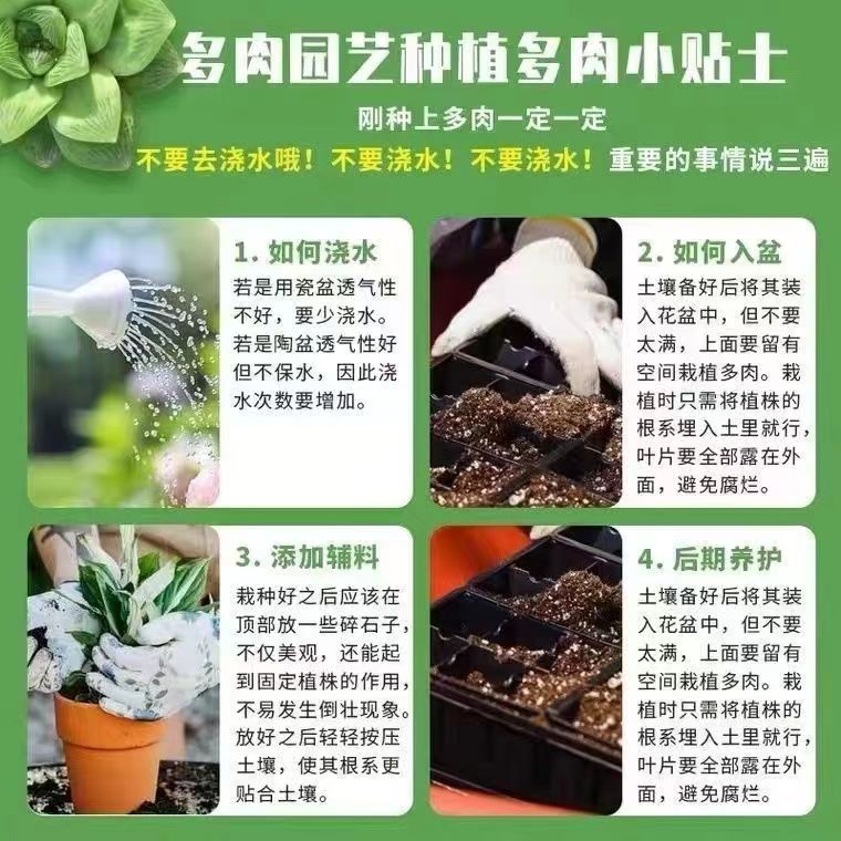 多肉颗粒土营养土叶插配方土花土专用土包邮泥炭种植铺面拌土