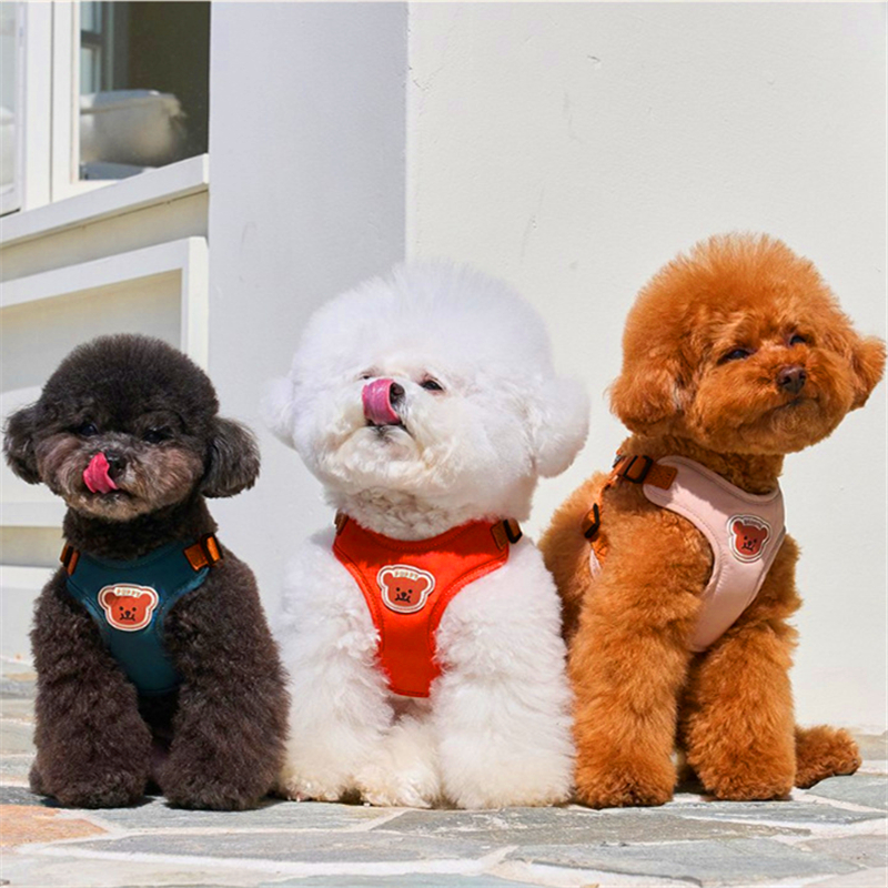 狗狗牵引绳背心式可爱衣服遛狗绳中小型犬胸背比熊牵狗绳泰迪狗绳