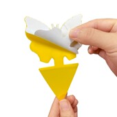 盆栽除虫花卉家用植物灭花盆小黑飞虫神器粘虫板室内沾虫纸果苍蝇