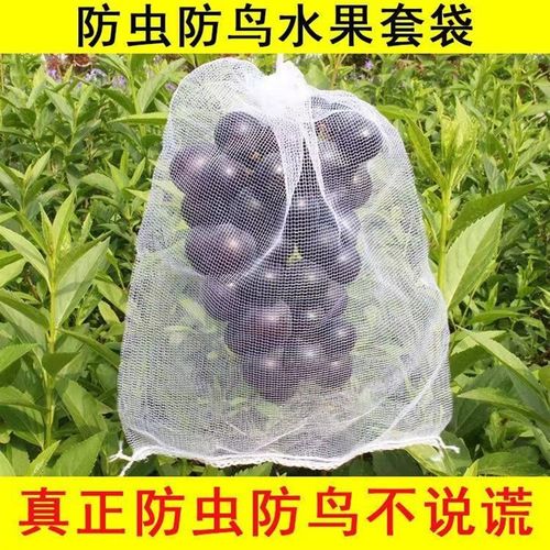 新疆西藏包邮[葡萄套袋】水果套袋防虫防鸟网袋果蔬菜特密小网袋
