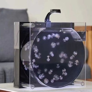 水母鱼缸网红摆摊赤月水母专用缸带过滤内循环造流USB海水展示缸