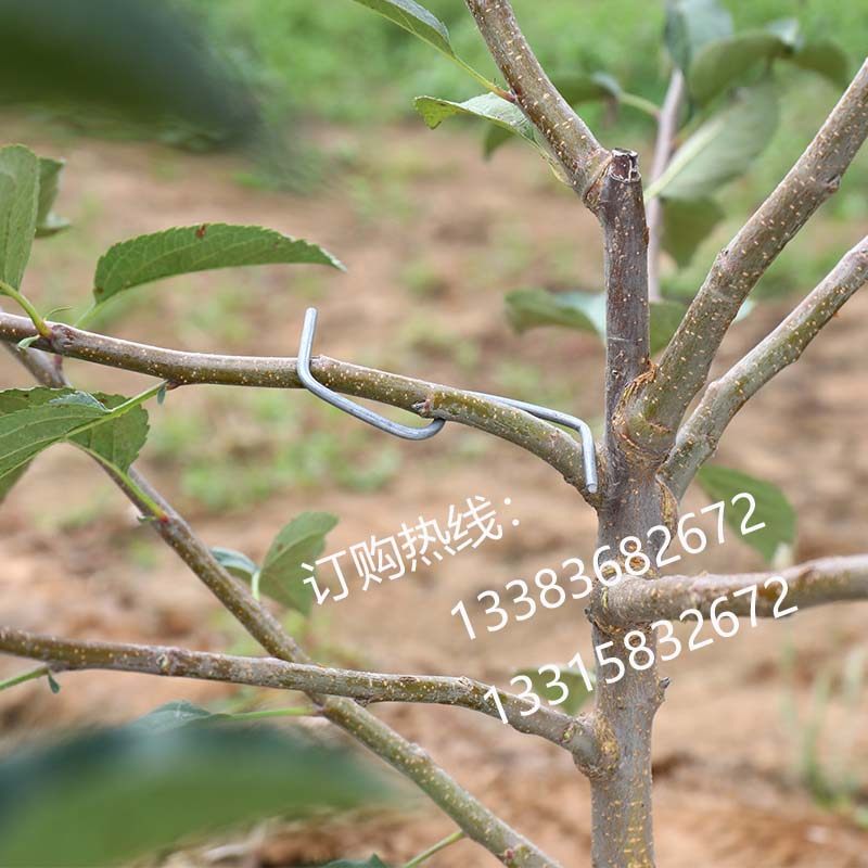 永德助果树拉枝神器定型器通用M型别枝器S扣开角器压枝弯枝夹包邮