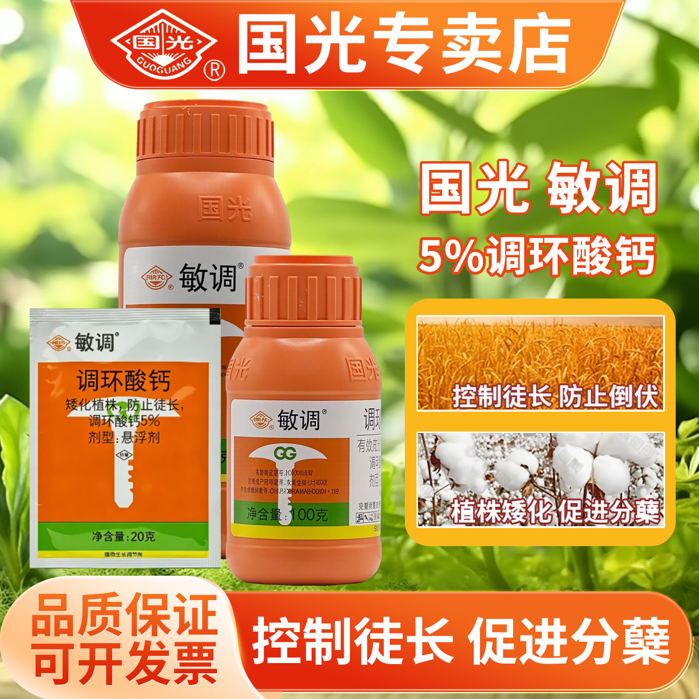 国光敏调5％调环酸钙水稻草坪矮化防徒长防倒伏控旺专用药调节剂
