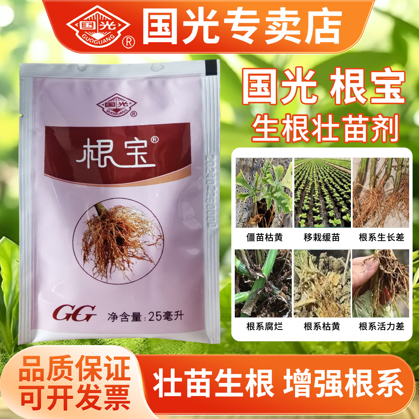 国光根宝含氨基酸生根液蔬菜苗木花卉等移栽灌根促跟发根壮跟肥