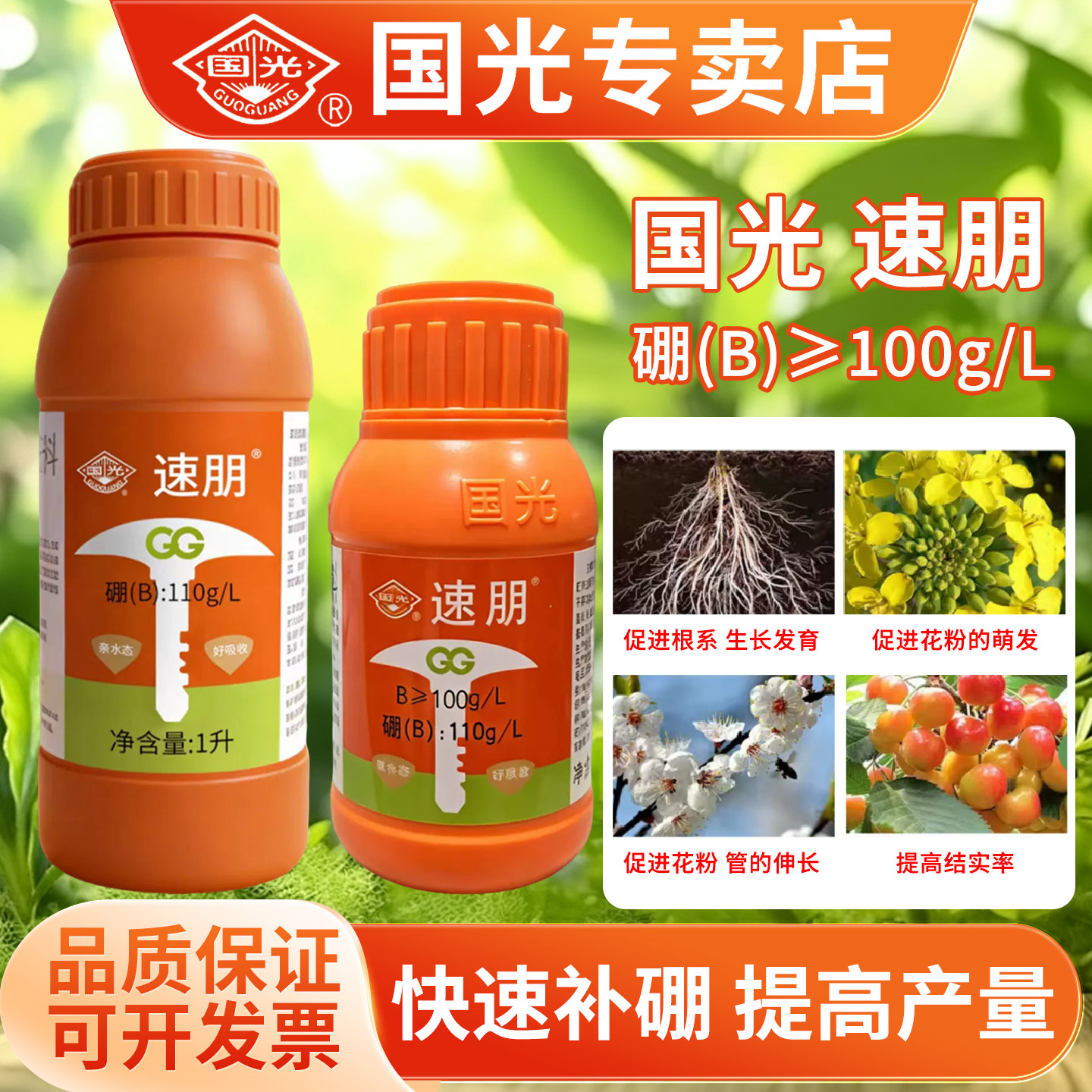 国光速朋流体硼肥叶面肥微量元素水溶肥正品液体硼肥果树肥蔬菜用