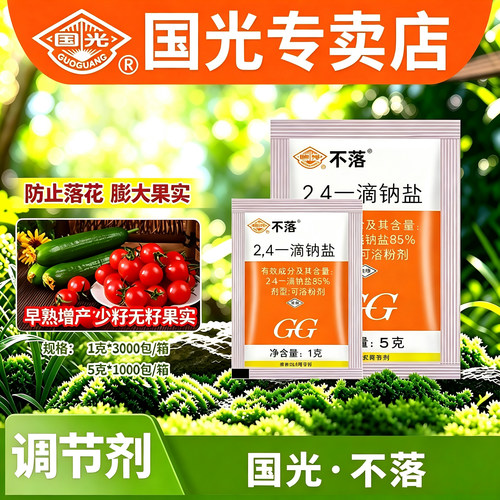 国光不落防落素24d2,4滴钠盐番茄膨大果实提高坐果少籽无籽调节剂