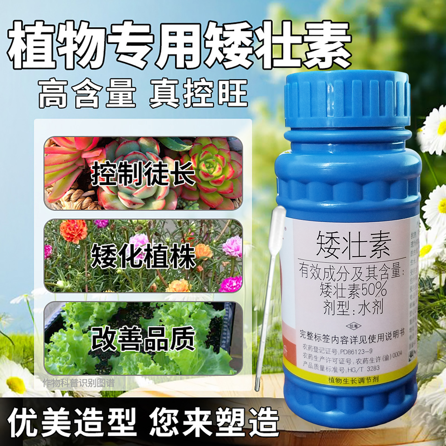 矮壮素50%控旺生长调节剂